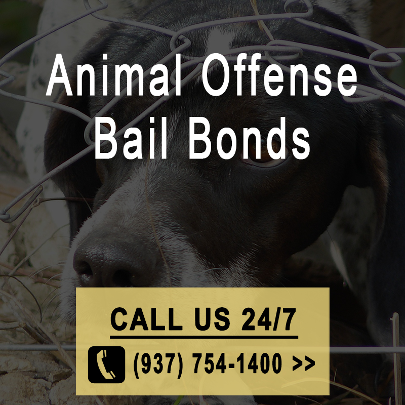 Animal Offense Bail Bonds - Mobile